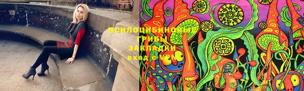 меф Арсеньев