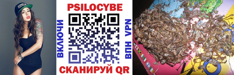 где можно купить наркотик  Шатура  Псилоцибиновые грибы Magic Shrooms 