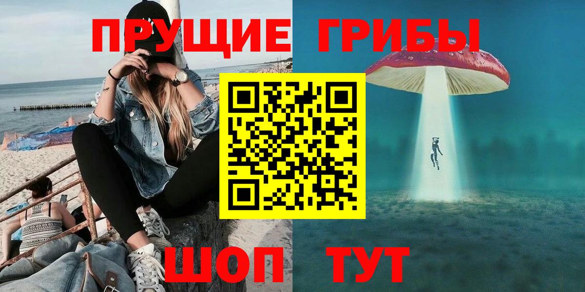 Псилоцибиновые грибы Psilocybe Шатура