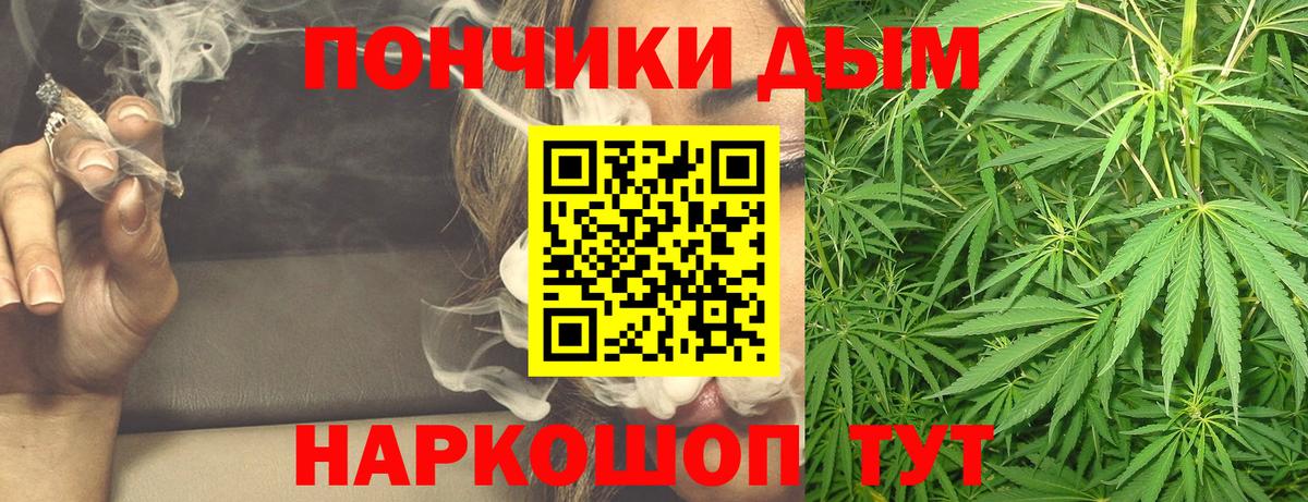 Шишки марихуана сатива  Бошки Шишки план  Шатура  Каннабис конопля  Вход с VPN 